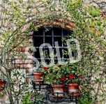 A Window Garden in Chianti SOLD