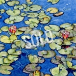 Water Lilies SOLD